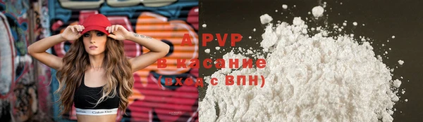 твердый Бородино