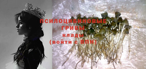 твердый Бородино