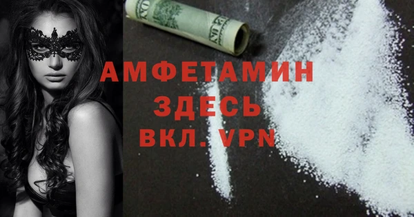 твердый Бородино