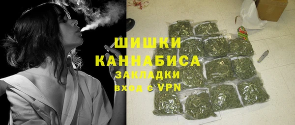твердый Бородино